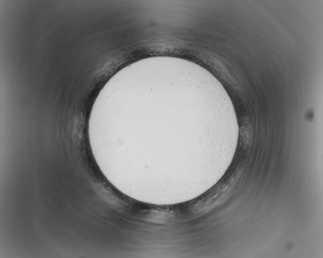 X0000116660458201001111253