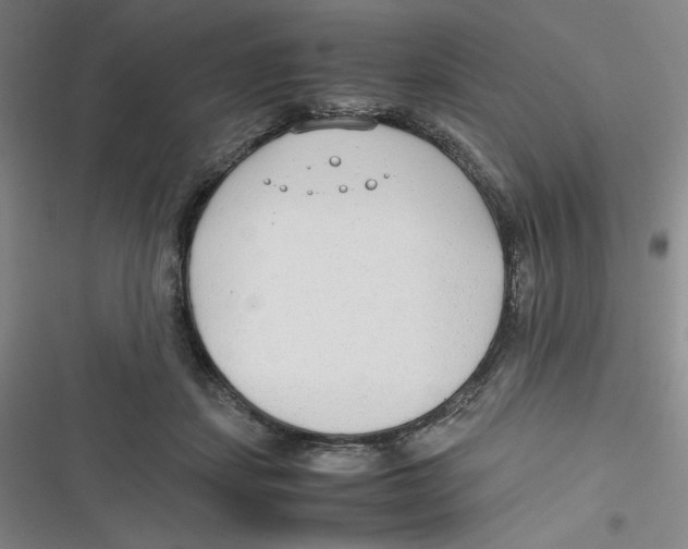 X0000116660459201001111253