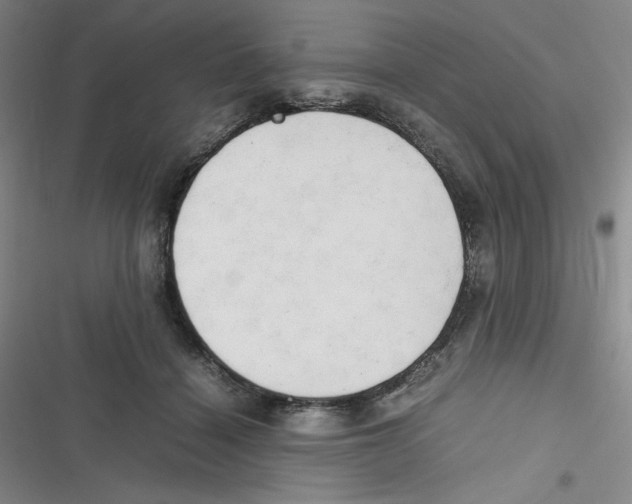 X0000116660460201001111253