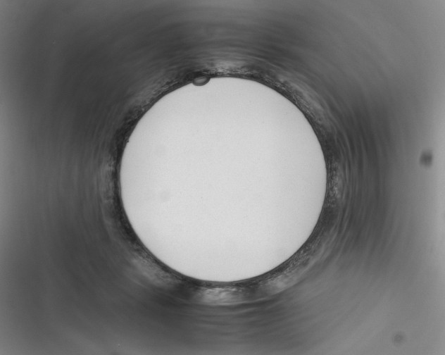 X0000116660461201001111253