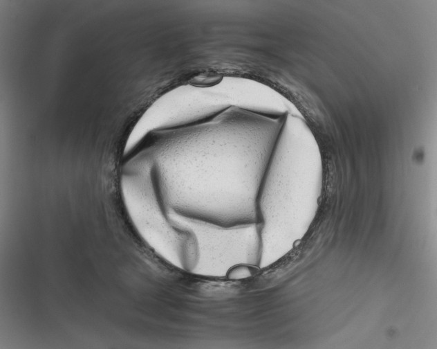 X0000116660465201001111253
