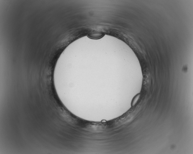 X0000116660466201001111253
