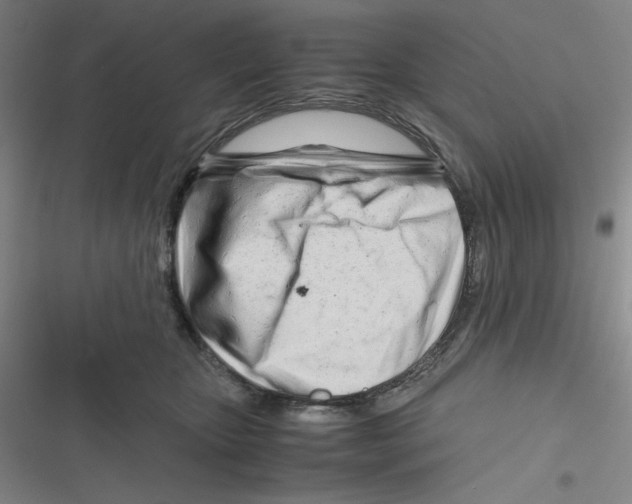 X0000116660467201001111253