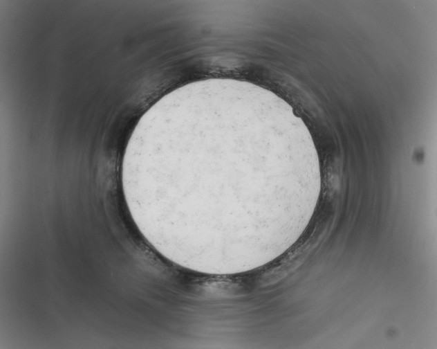 X0000116660468201001111253