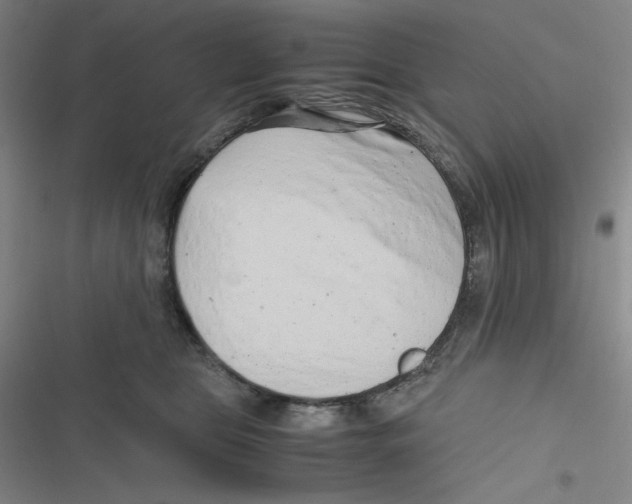 X0000116660469201001111253