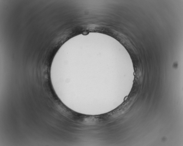 X0000116660470201001111254