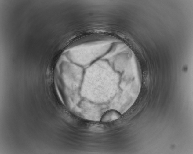 X0000116660471201001111254