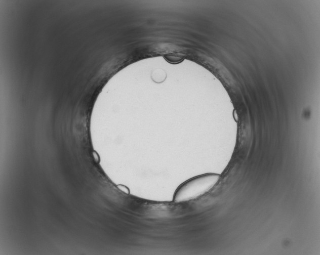 X0000116660473201001111254