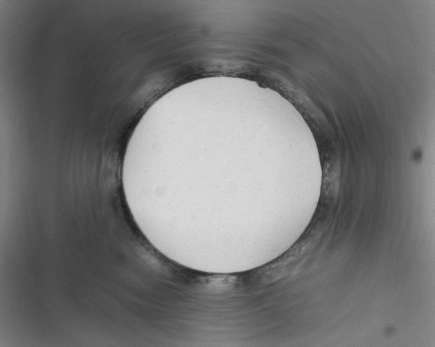 X0000116660474201001111254