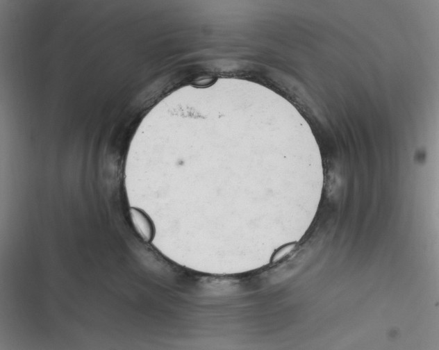 X0000116660476201001111254