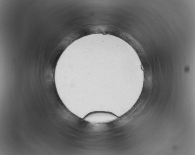 X0000116660477201001111254