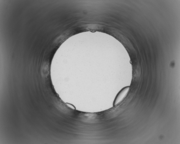 X0000116660478201001111254