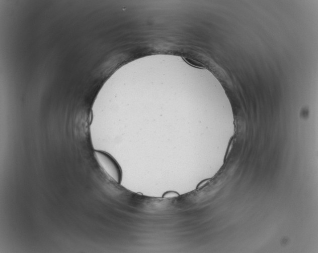 X0000116660479201001111254