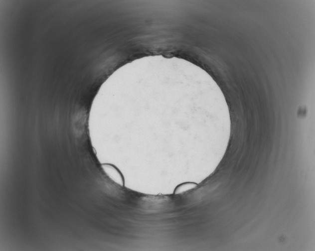 X0000116660480201001111254