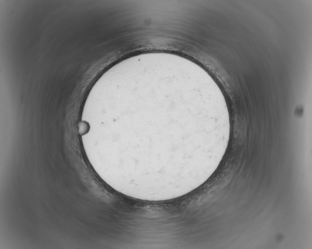 X0000116660481201001111253