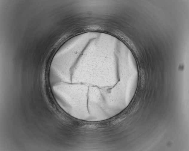 X0000116660482201001111253