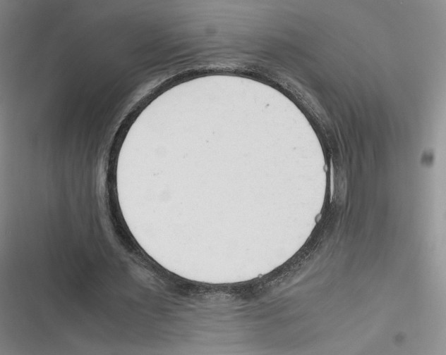 X0000116660483201001111253