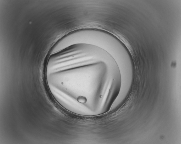 X0000116660485201001111253