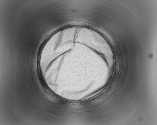 X0000116660486201001111253