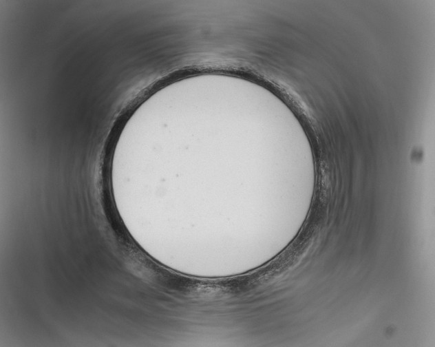 X0000116660487201001111253