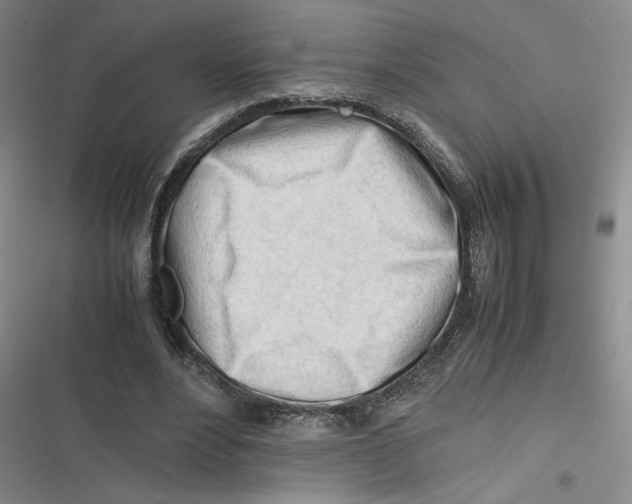 X0000116660488201001111253