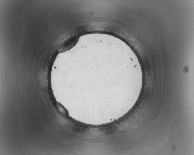 X0000116660489201001111253