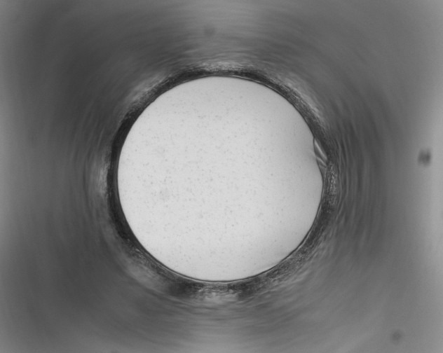 X0000116660491201001111253