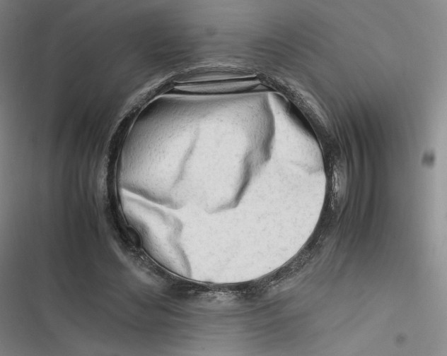 X0000116660492201001111253