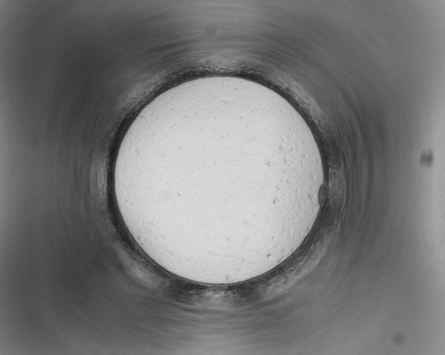 X0000116660493201001111253