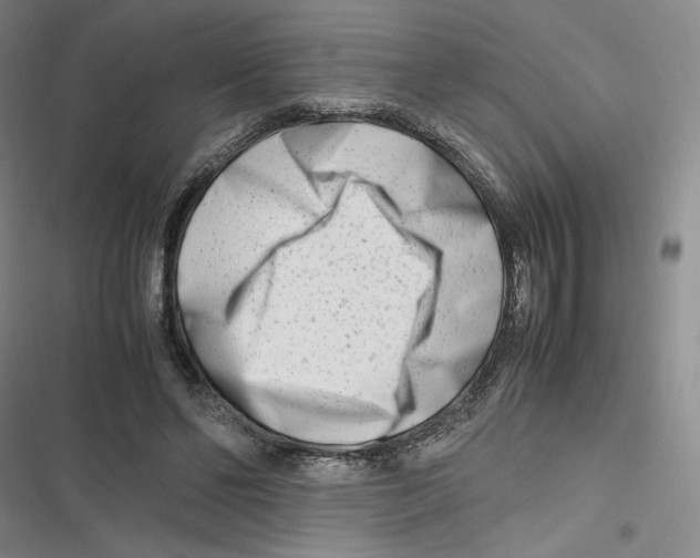 X0000116660494201001111253