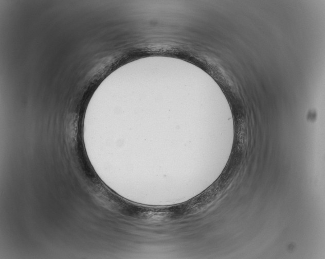 X0000116660495201001111253