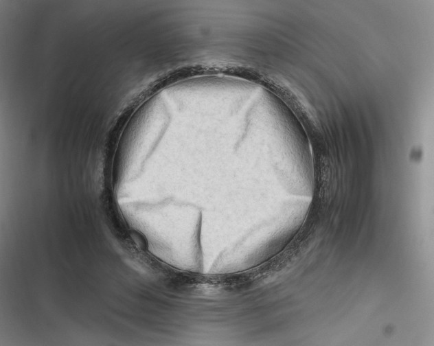X0000116660496201001111253