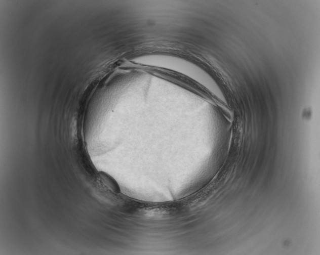 X0000116660500201001111253