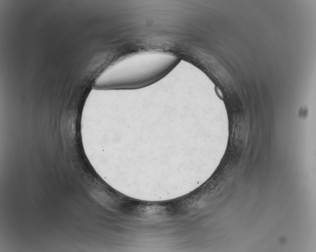 X0000116660501201001111253