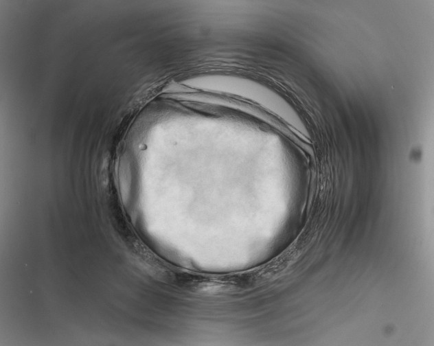X0000116660504201001111253
