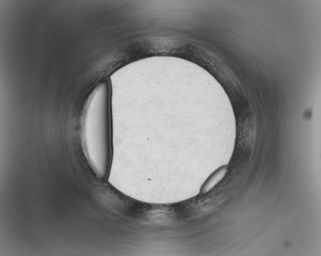 X0000116660505201001111253