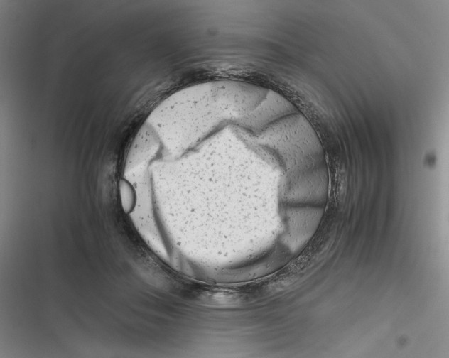 X0000116660506201001111253