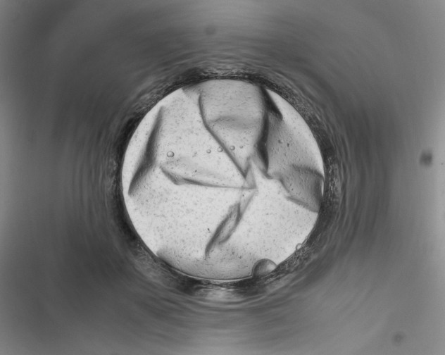 X0000116660507201001111253