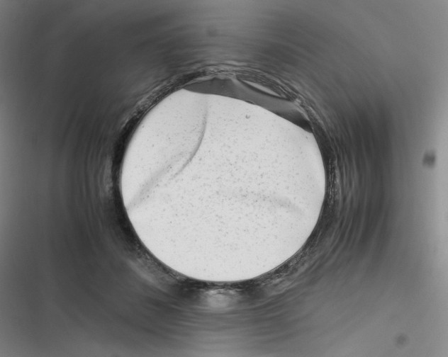 X0000116660508201001111253