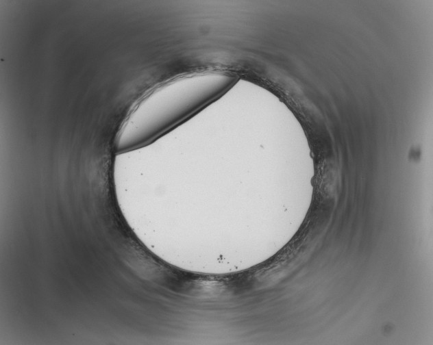 X0000116660509201001111253