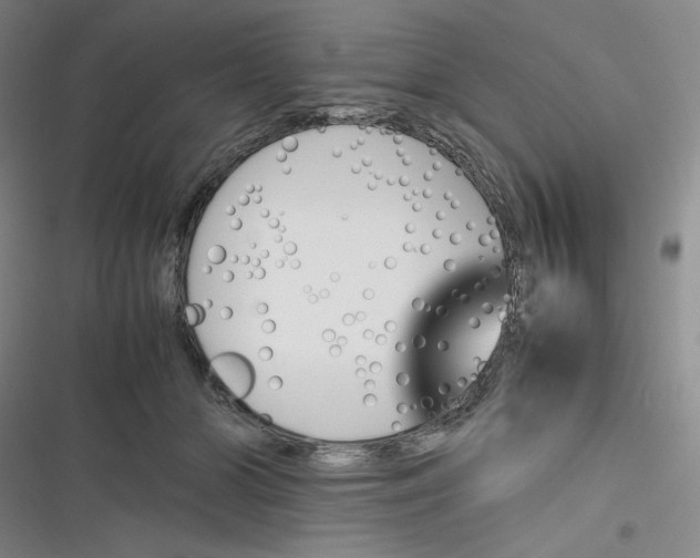 X0000116660510201001111253