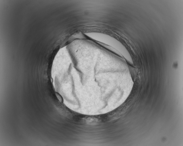 X0000116660512201001111253