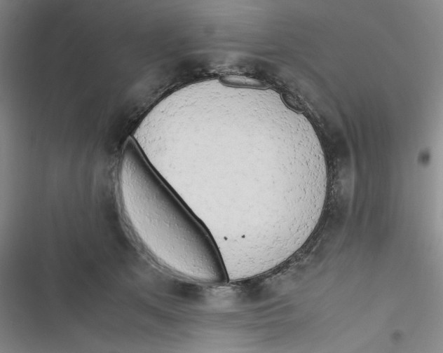 X0000116660513201001111253