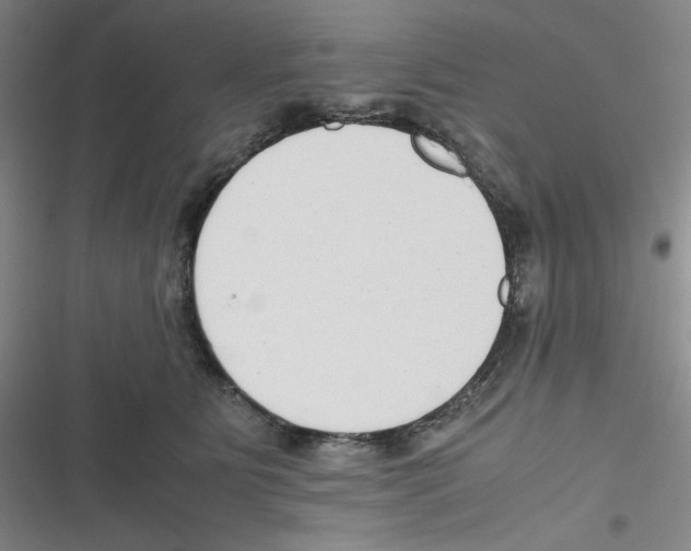 X0000116660515201001111253