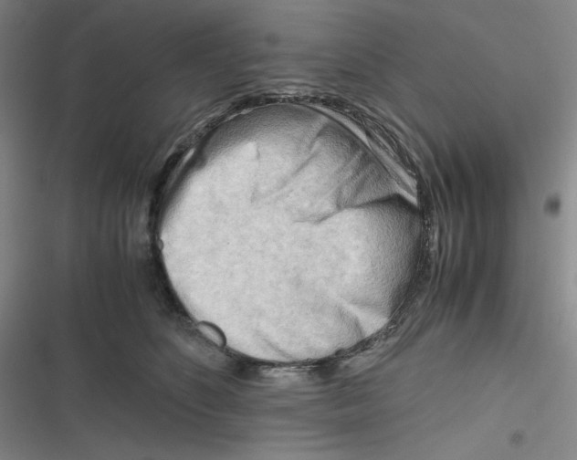 X0000116660516201001111253