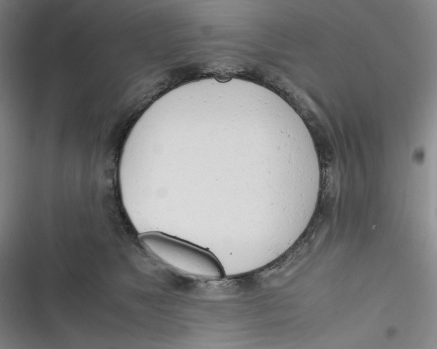 X0000116660517201001111253