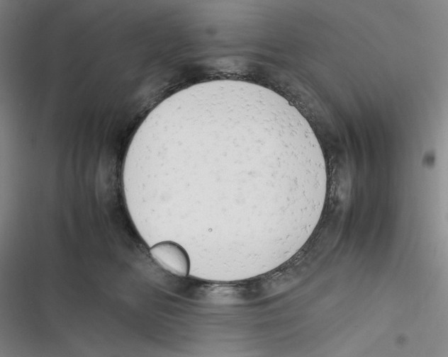 X0000116660518201001111252