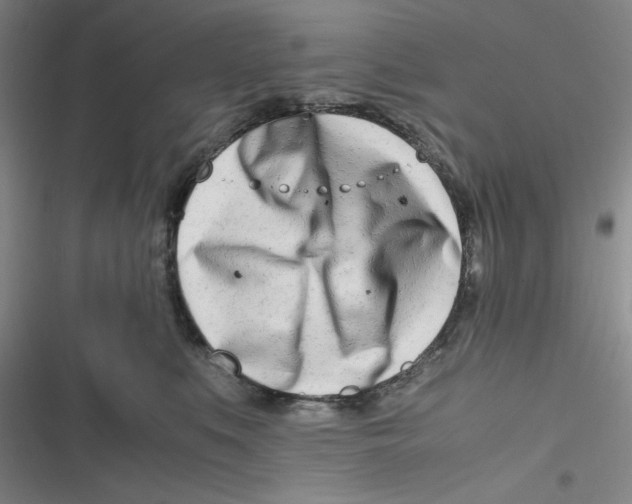 X0000116660519201001111252
