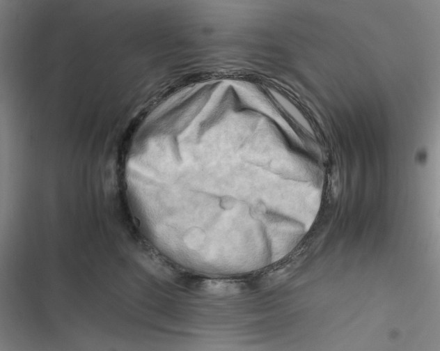 X0000116660520201001111252