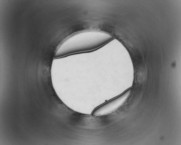 X0000116660521201001111252